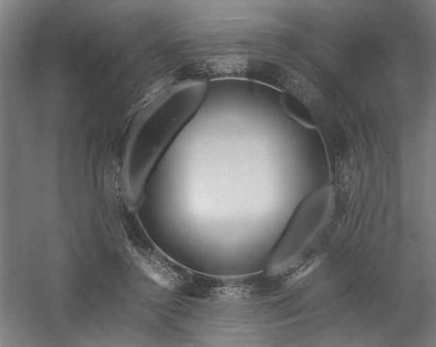 X0000058100356200509231006