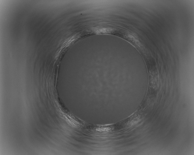 X0000058100357200509231006