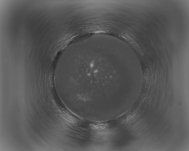X0000058100359200509231006