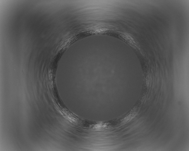 X0000058100366200509231006