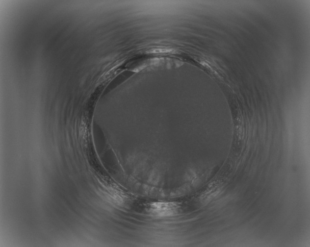 X0000058100371200509231006