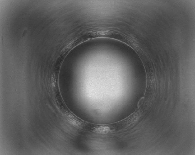 X0000058100374200509231006