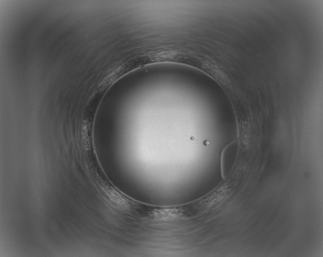 X0000058100378200509231006