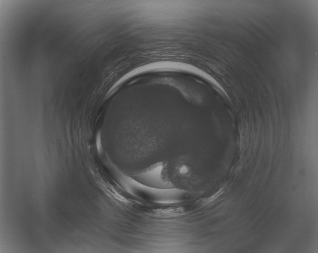 X0000058100380200509231006