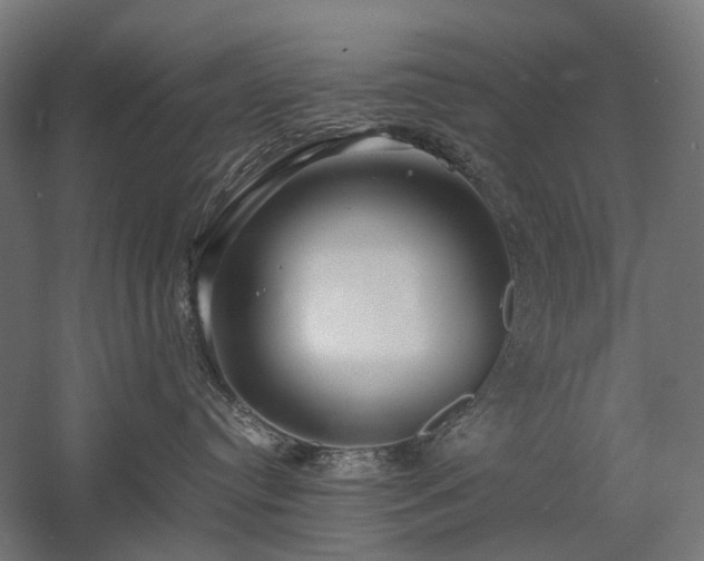 X0000058100384200509231006