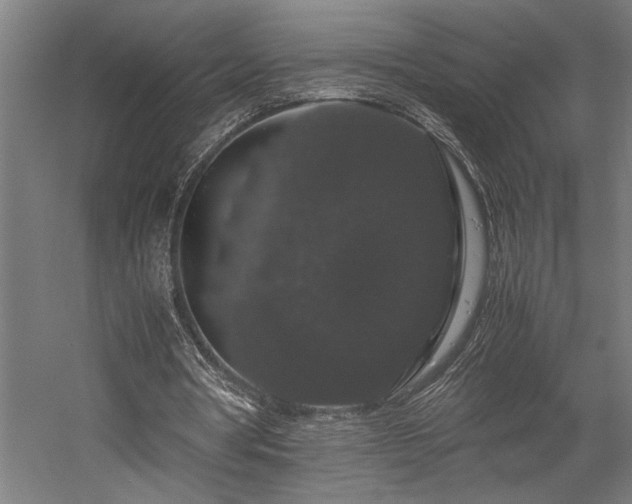 X0000058100386200509231005