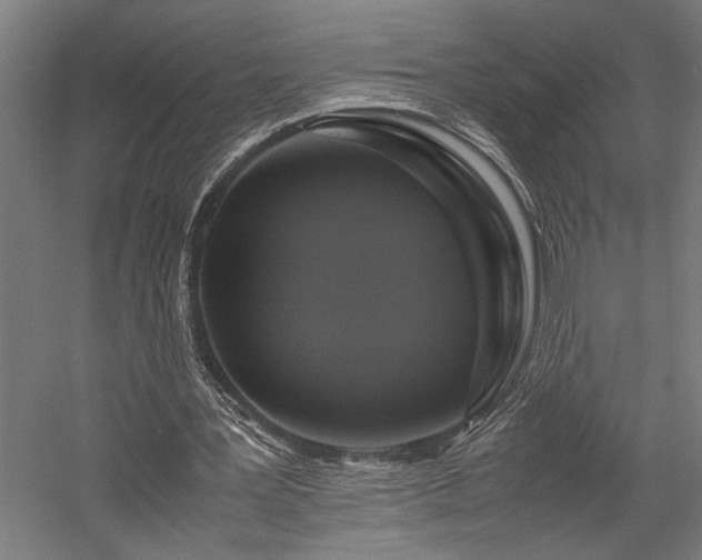 X0000058100387200509231005