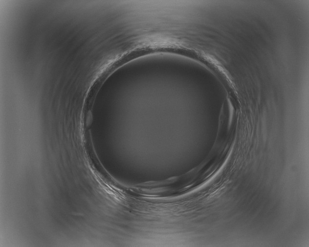 X0000058100391200509231005