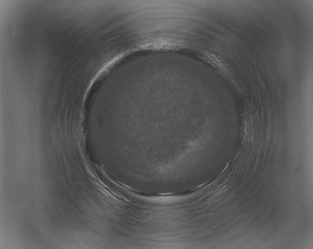 X0000058100392200509231005