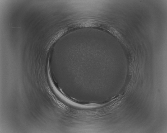 X0000058100393200509231005
