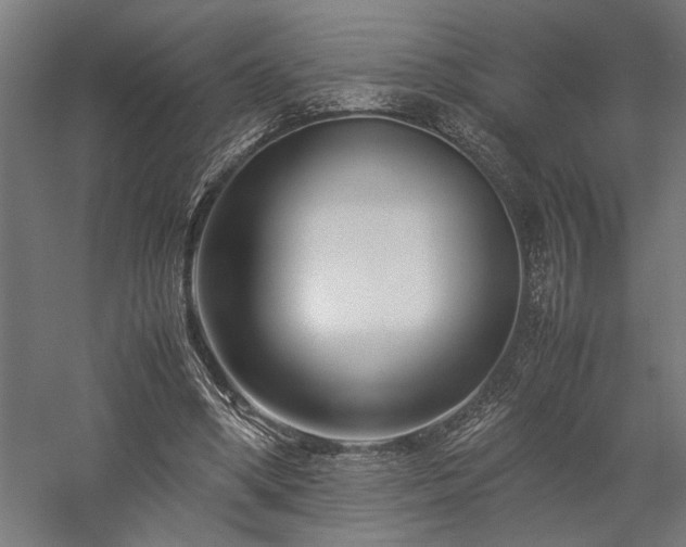 X0000058100394200509231005