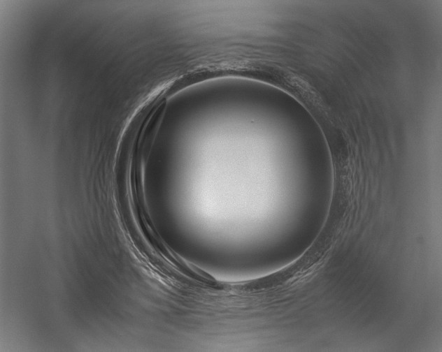 X0000058100395200509231005