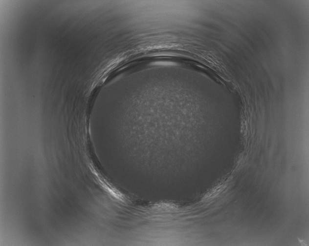X0000058100397200509231005
