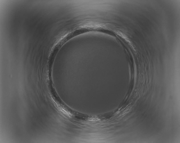 X0000058100399200509231005