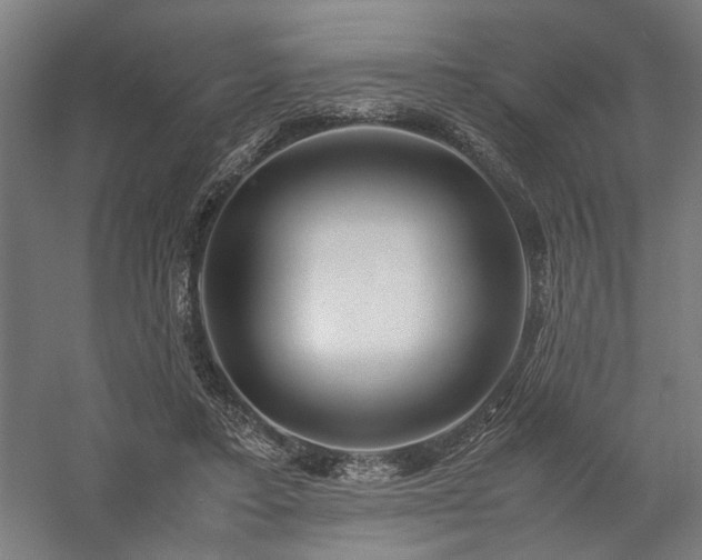 X0000058100403200509231005