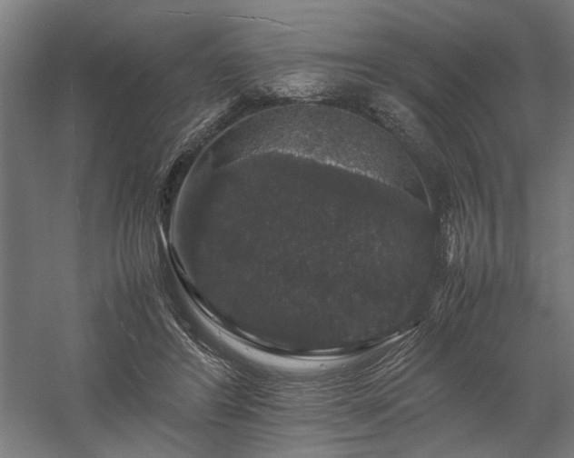 X0000058100404200509231005
