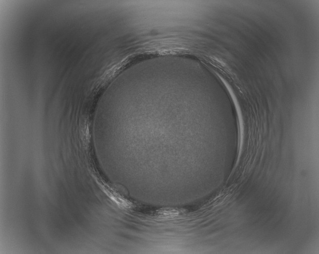 X0000058100405200509231005