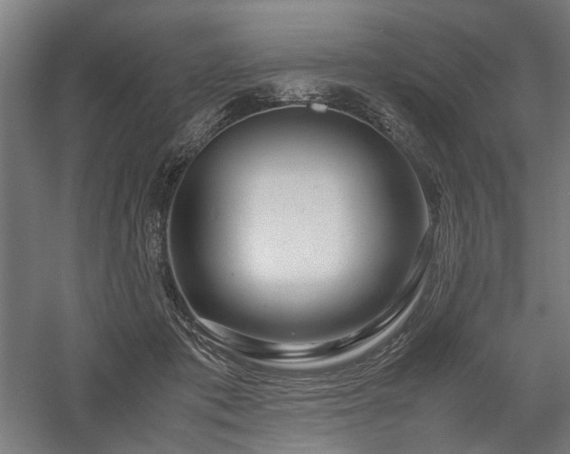 X0000058100413200509231005