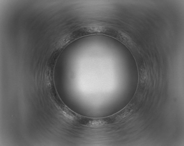 X0000058100414200509231005