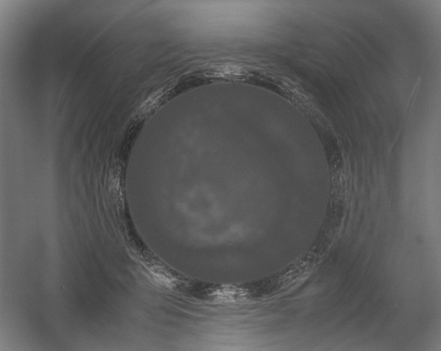 X0000058100415200509231005