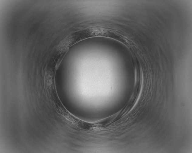 X0000058100417200509231005