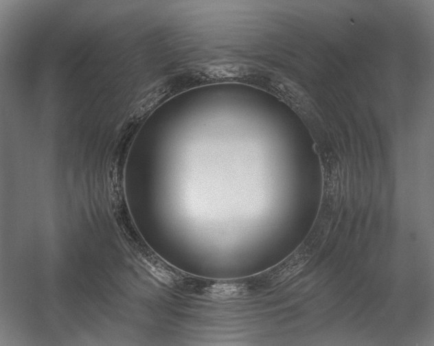 X0000058100418200509231005