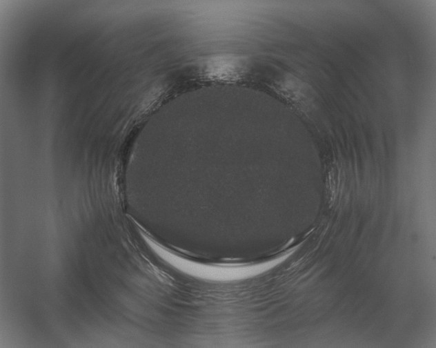 X0000058100424200509231005