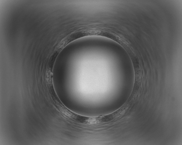 X0000058100425200509231005