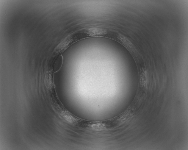 X0000058100426200509231005