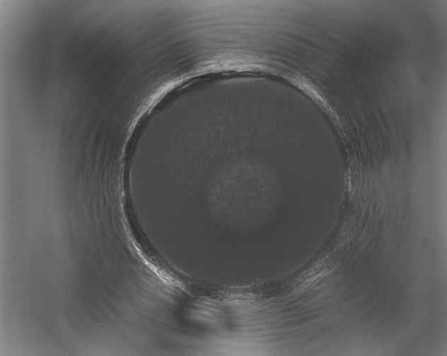 X0000058100438200509231004