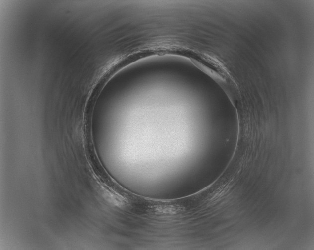 X0000058100439200509231004