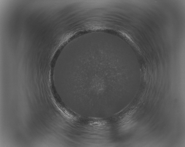 X0000058100447200509231004