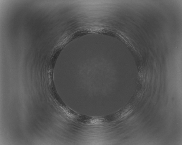 X0000058100462200509231004
