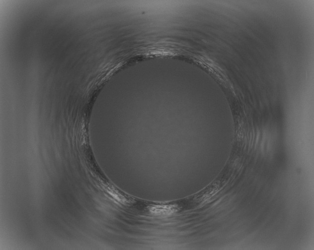 X0000058100465200509231004