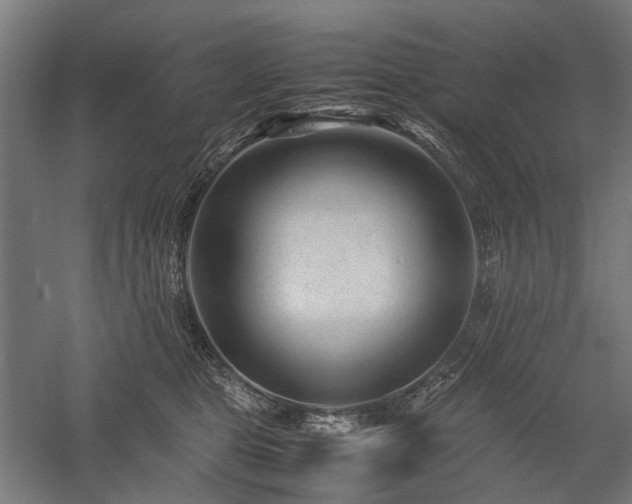 X0000058100469200509231004