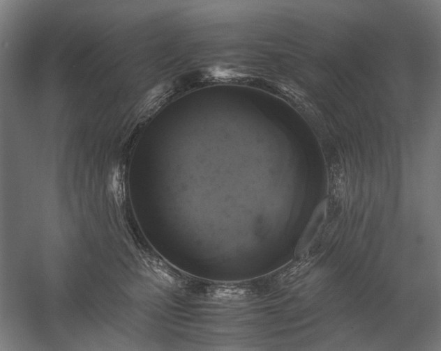 X0000058100471200509231004