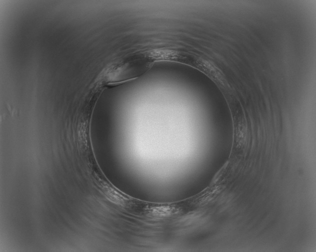 X0000058100473200509231004