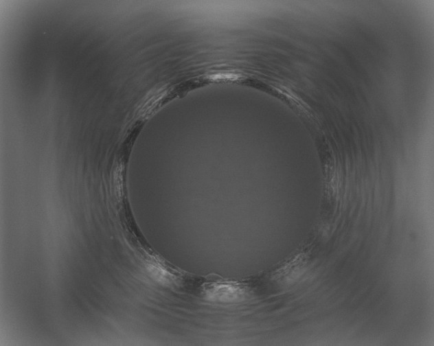 X0000058100475200509231004