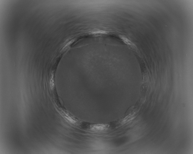 X0000058100479200509231004