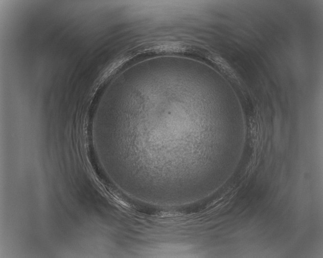 X0000058100487200509231004