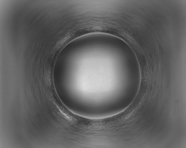 X0000058100489200509231004