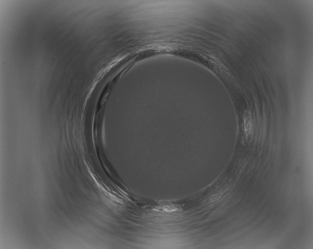 X0000058100492200509231003
