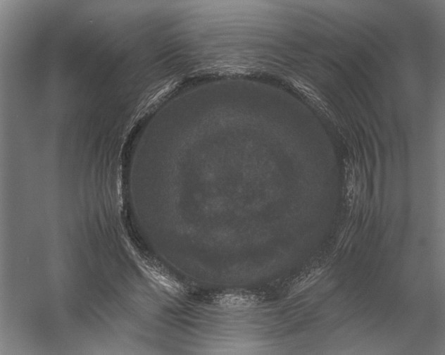X0000058100494200509231003