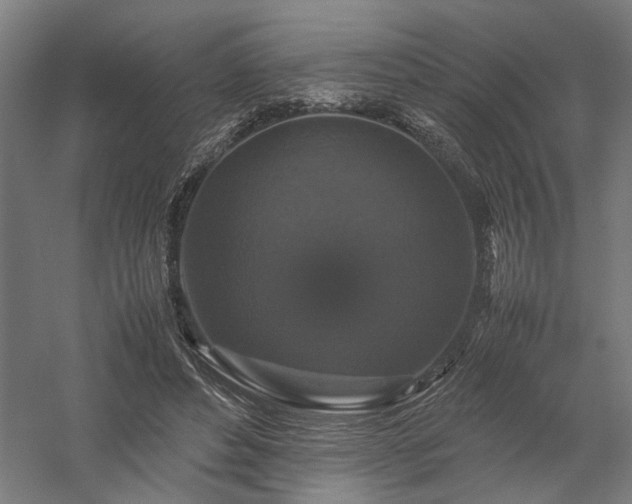 X0000058100496200509231003