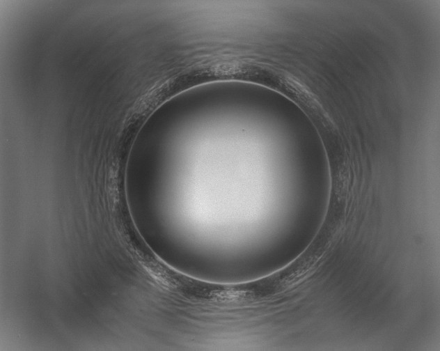 X0000058100497200509231003