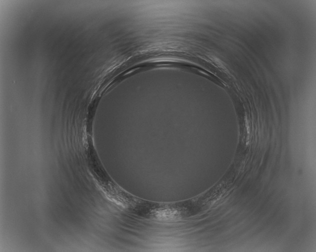 X0000058100500200509231003