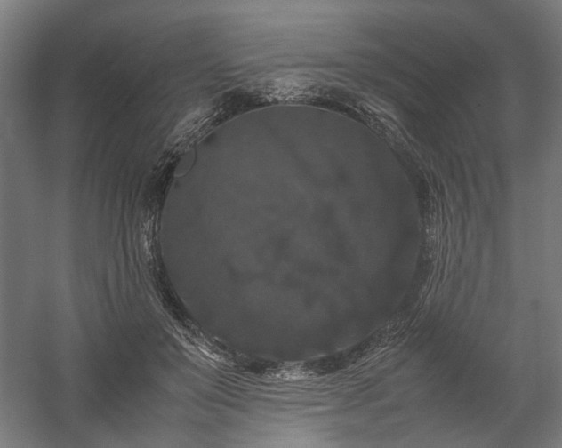 X0000058100503200509231003