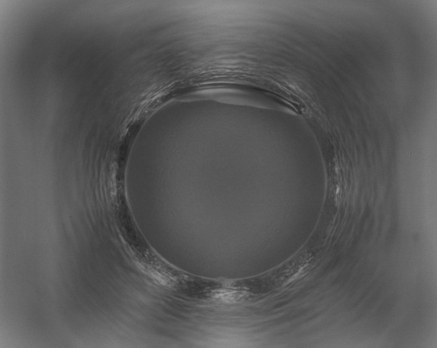 X0000058100504200509231003