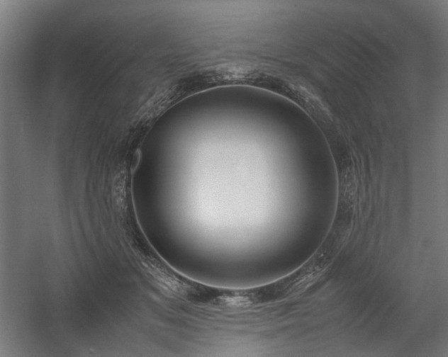 X0000058100509200509231003