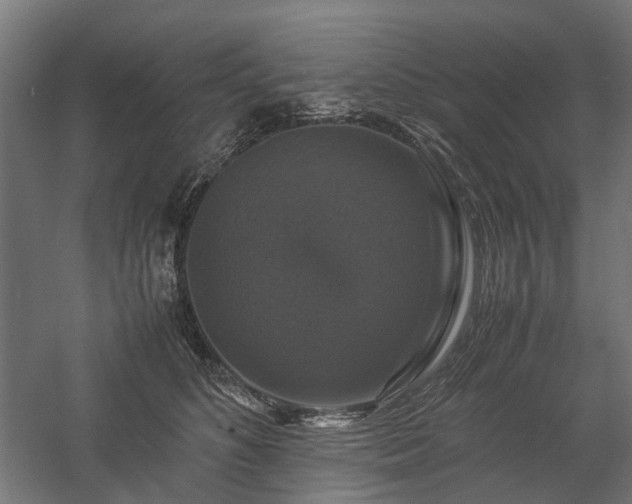 X0000058100516200509231003